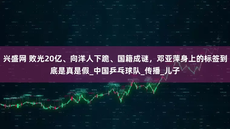 兴盛网 败光20亿、向洋人下跪、国籍成谜，邓亚萍身上的标签到底是真是假_中国乒乓球队_传播_儿子