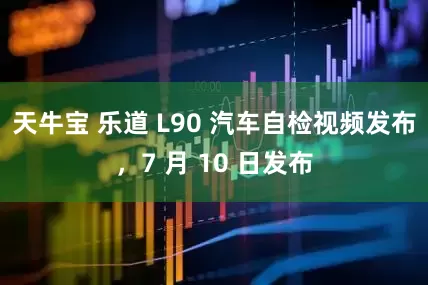 天牛宝 乐道 L90 汽车自检视频发布，7 月 10 日发布