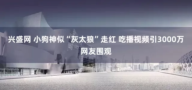 兴盛网 小狗神似“灰太狼”走红 吃播视频引3000万网友围观