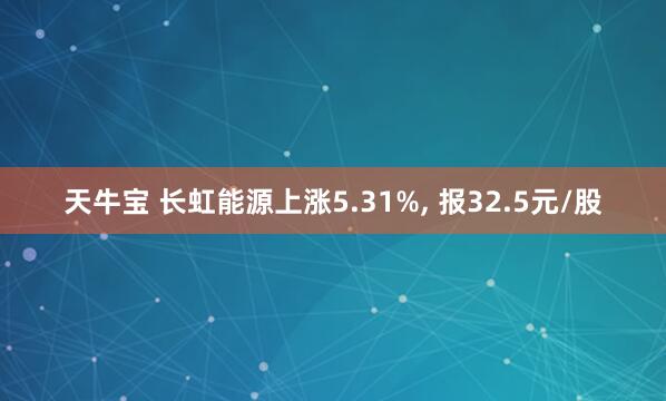天牛宝 长虹能源上涨5.31%, 报32.5元/股